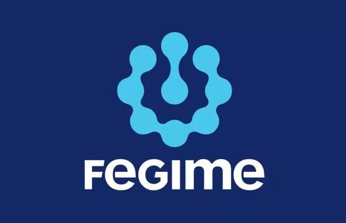 logo fegime connect